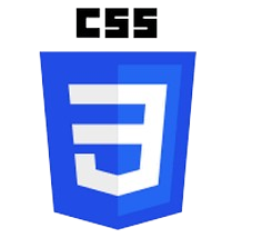 CSS Logo